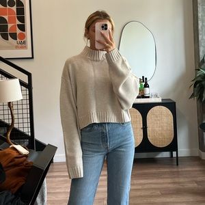 Wilfred Free Sweater (Aritzia)